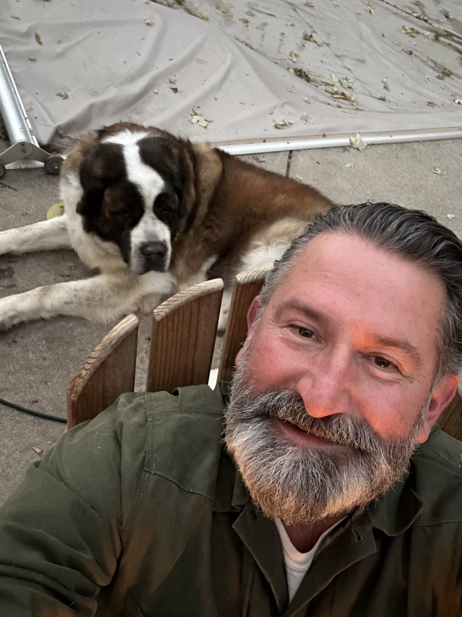 Crobb88's tweet image. A beautiful evening with the saints. #lapdogs #stbernards