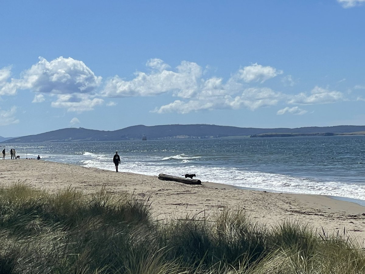 Kris_etc tweet media