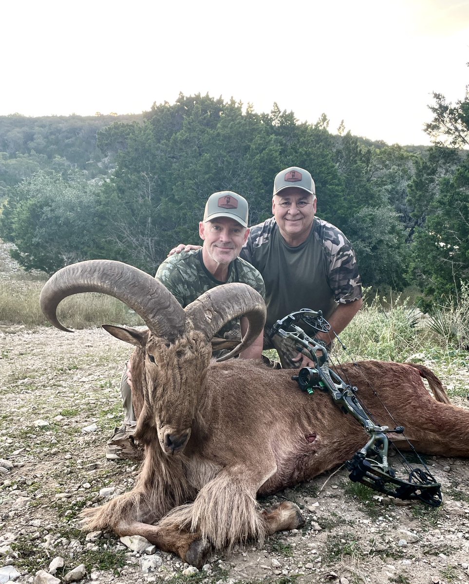 ArceTony's tweet photo. Congrats to Rick on his free range Aoudad taken with a bow and arrow at the Bowranch in Uvalde County. #bowranch #huntingetc #uvaldecounty #aoudad #fairchase #hoyt https://t.co/xkf0mW4AKP