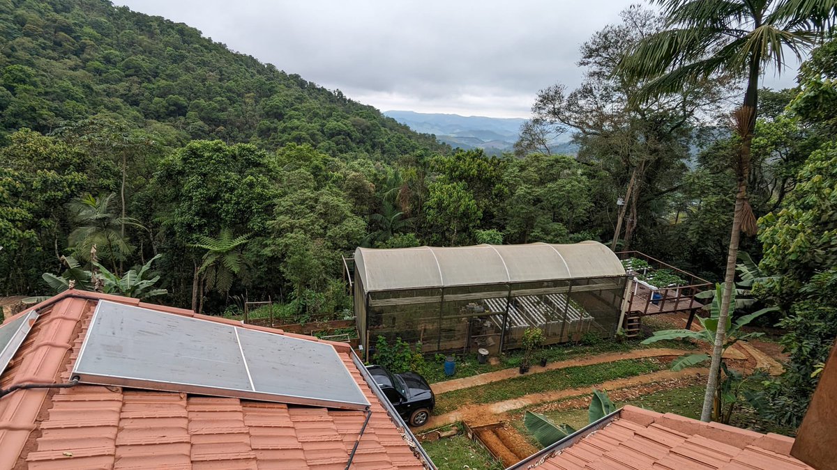 I am Simon, and instead of being a researcher at a world-class university, I now live in the Brazilian jungle. This is the story of how I ended up here. ⬇️ Beginning of 2021, I spoke out against the rigged peer-review process of @c_drosten's Covid PCR protocol paper. As a…