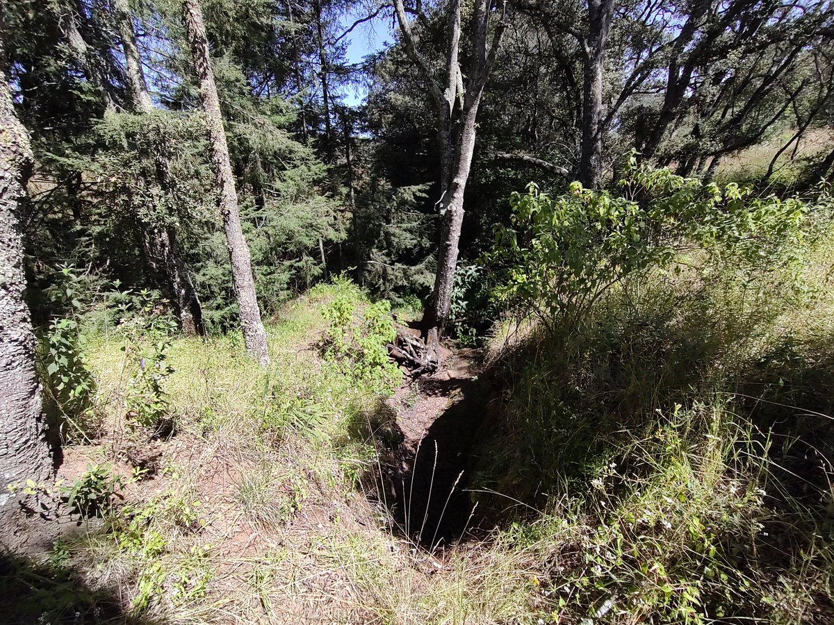 __D1ck_bUnny's tweet photo. ; 

    #𝑈𝑆𝑆: Perdón si no respondía, literalmente estaba en un monte y luego en un pueblo. (no había red ni cobertura). https://t.co/tM7fiFAwTp