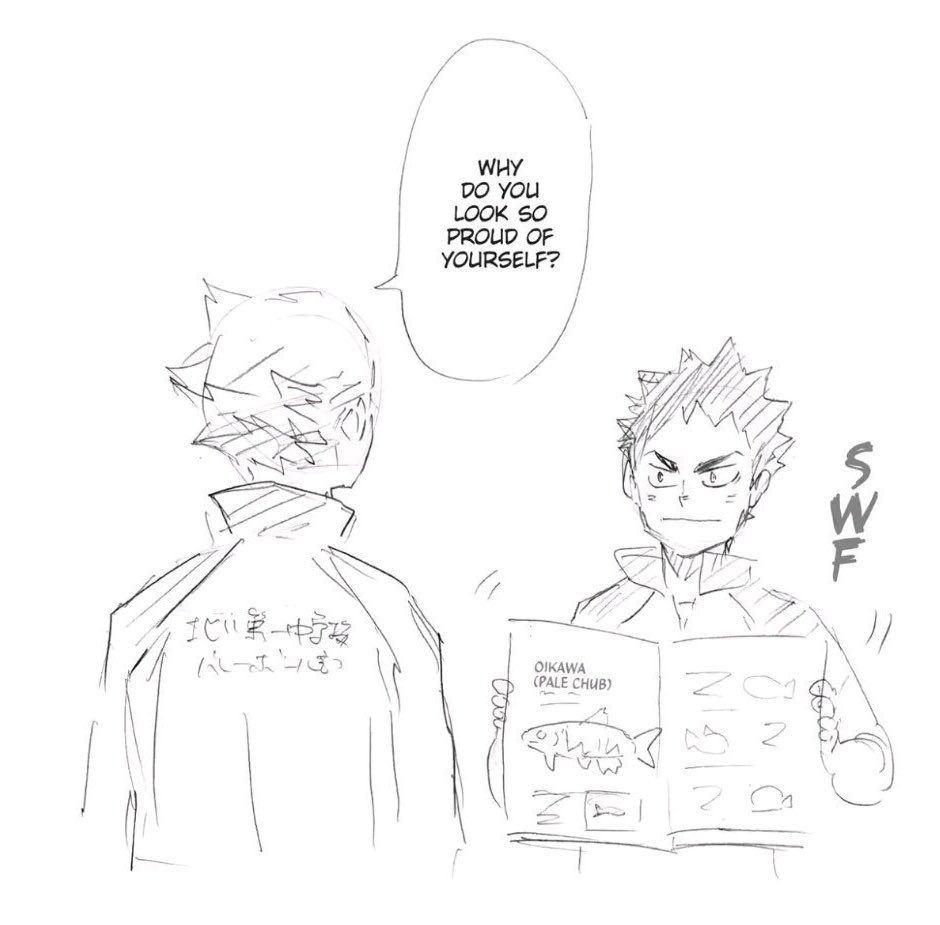 ieirihime's tweet photo. thinking about middle school iwachan proudly showing off the fish he found with oikawa's name then years later we see him in brazil wearing a tshirt with that same fish on it i'm gonna be sick i just know iwa gave that to him and he wears it all the time when he's away from home https://t.co/kerWsnhLUm