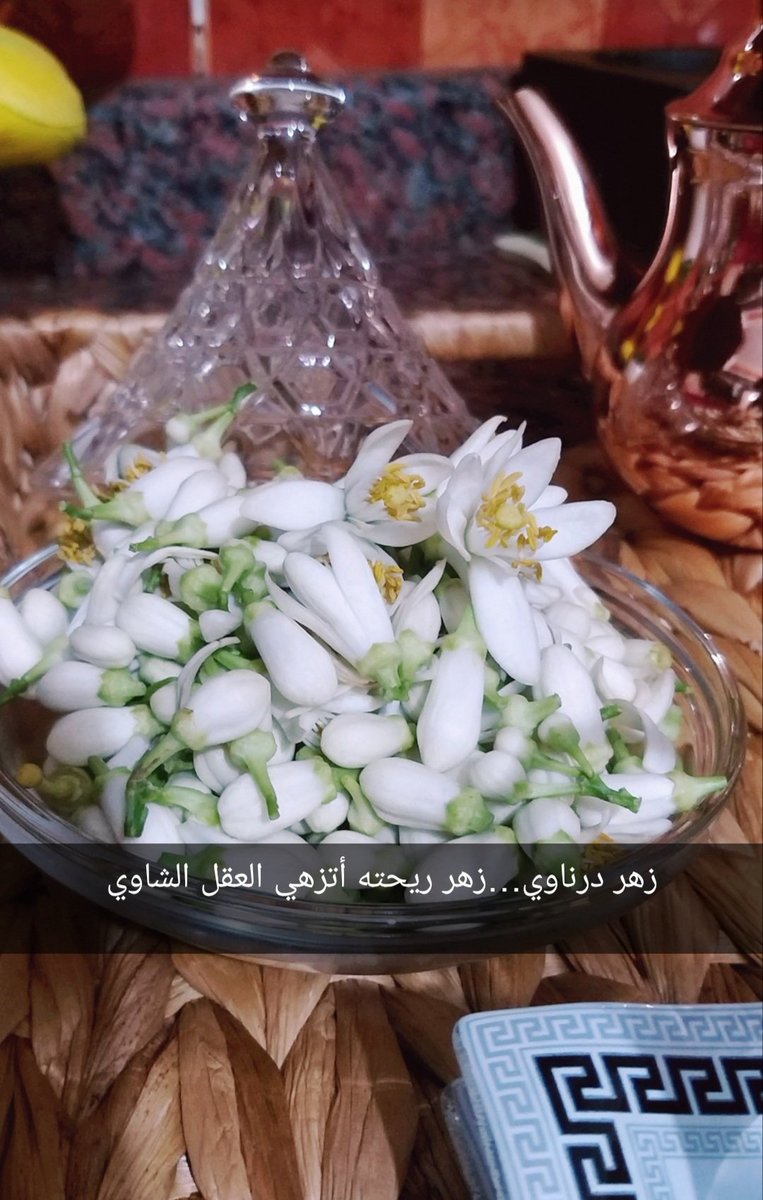 cutesesa86's tweet photo. ان شاء الله اترد و اتزهي يا بلادي الزهر 💗💗🌺
#libya #dernah https://t.co/nVTEIun9VT