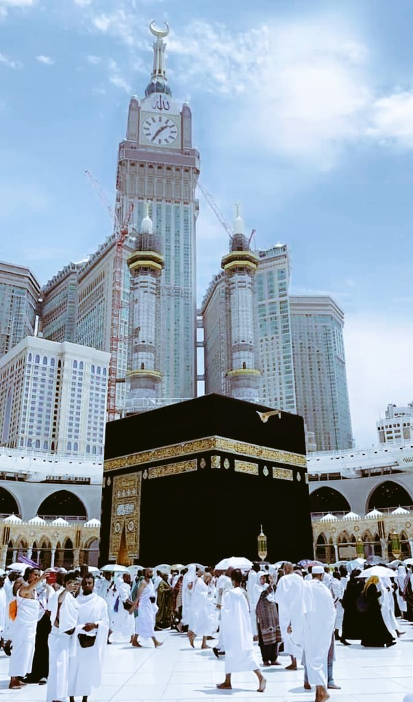 M.SADIQ🦋 tweet media