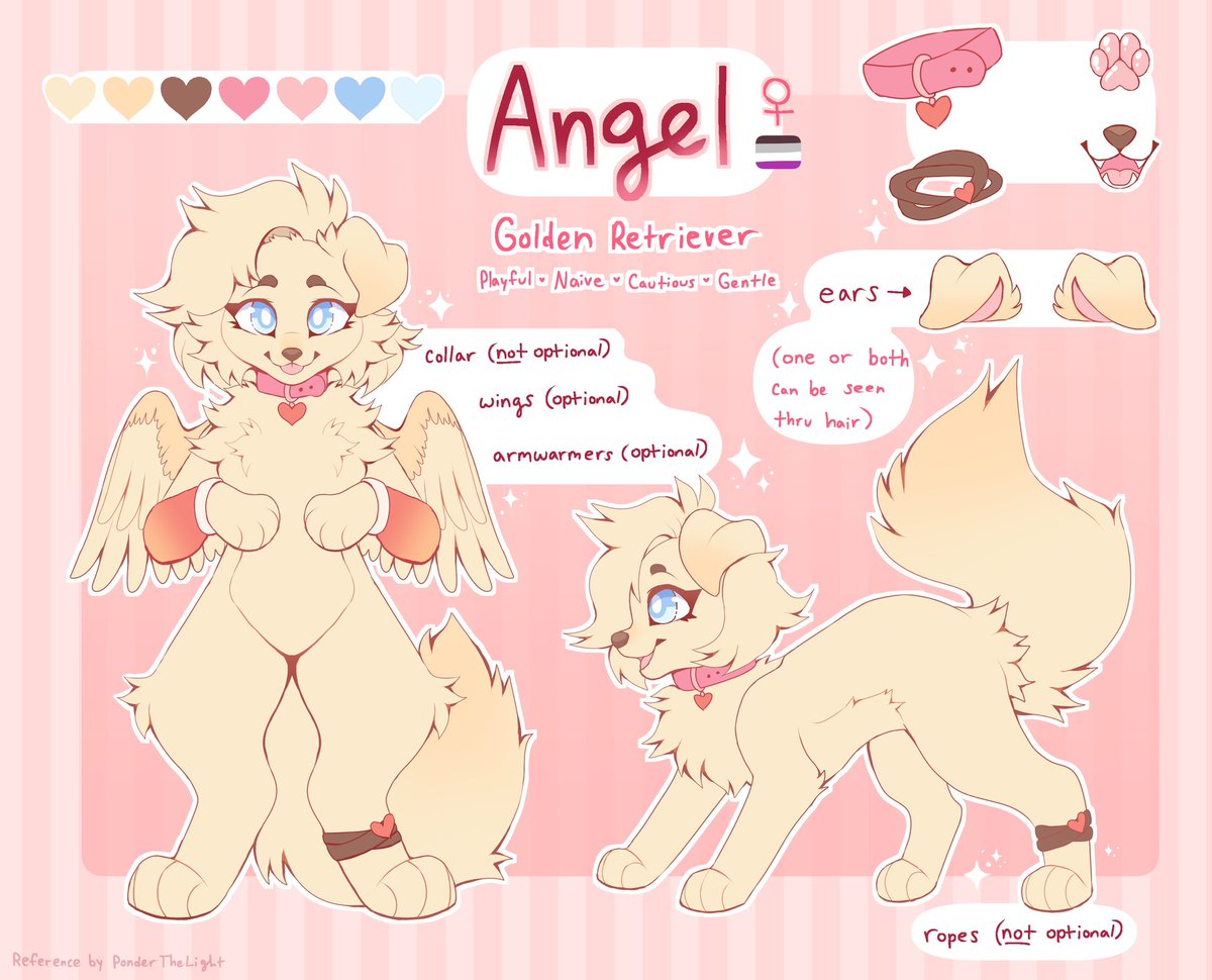 The Golden 💛 tweet media