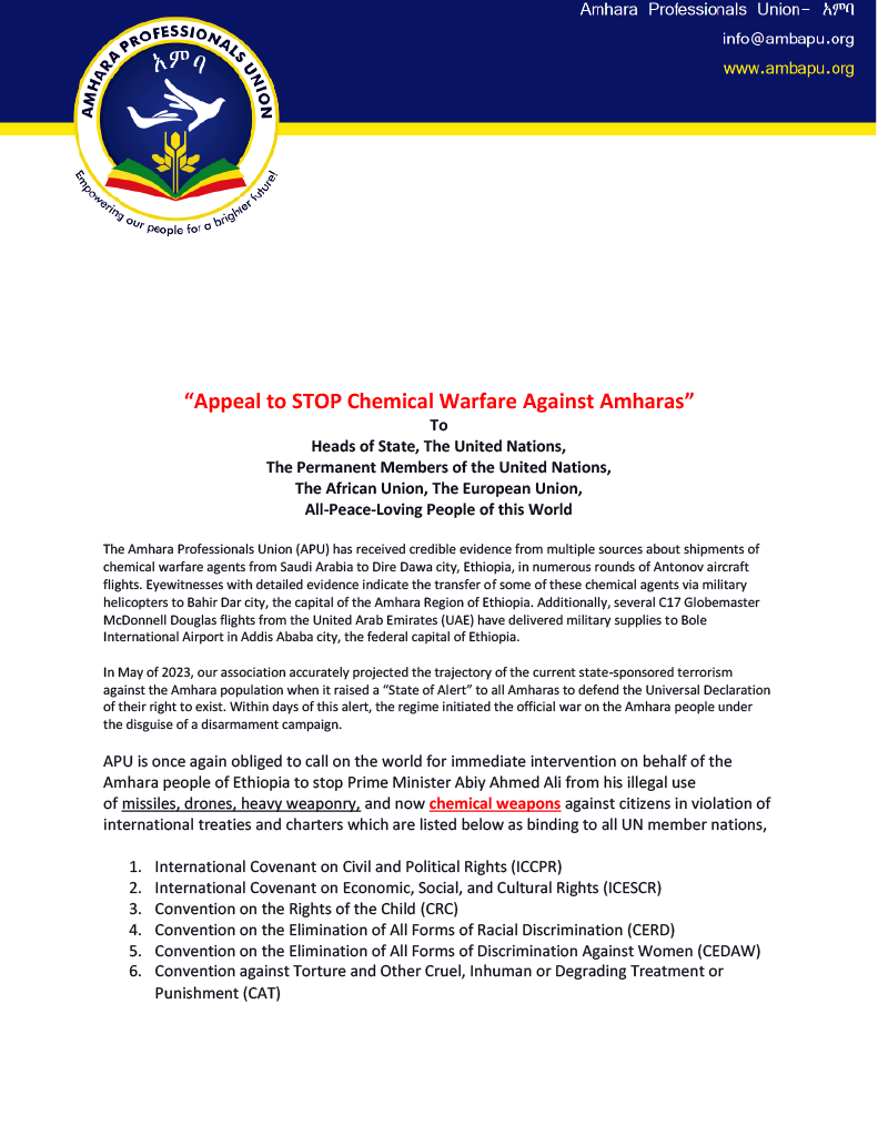 Amhara Professionals Union (APU) tweet media