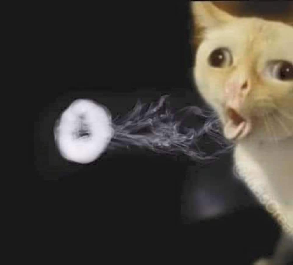 invis4yo's tweet image. "do that smoke trick again"

me: