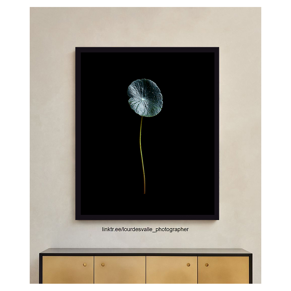 loulouvalle's tweet photo. Comece a sua própria #galeriadearte !
Fotografia de #LourdesValle em venda direta.
https://t.co/YSajKoAvyU
#arteparavocê #artefotografica #artedafotografia #fotoarte #fotopresente #fotonaparede #fotonopapel #fotografiaartistica #fotoautoral https://t.co/E16o8MukPp