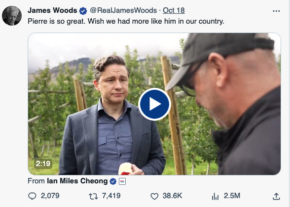 RGBAtlantica's tweet photo. @PierrePoilievre Endorsements from the nut cases: #StevenBannon #JordonPeterson and a comment from #JamesWood https://t.co/P3LujQsn3V