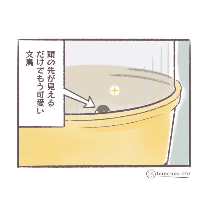 今日の4コマ漫画はお休みさせていただきます(省エネモードの1コマのみ置いておきます) #文鳥   🌿2024年カレンダーの予約販売開始中!(固定ツイートにも詳細あり) Amazon、楽天の販売サイトもスタートしたようなので後ほど別途ご連絡させていただきます✨ ↓↓↓ 