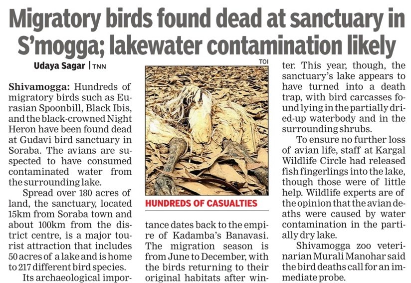 HUNDREDS OF WINGED BEAUTIES FOUND DEAD AT GUDAVI SANCTUARY.
<a href="/eshwar_khandre/">Eshwar Khandre</a> 
<a href="/RainlandT/">Rainland</a> ( Rainland Wildlife)