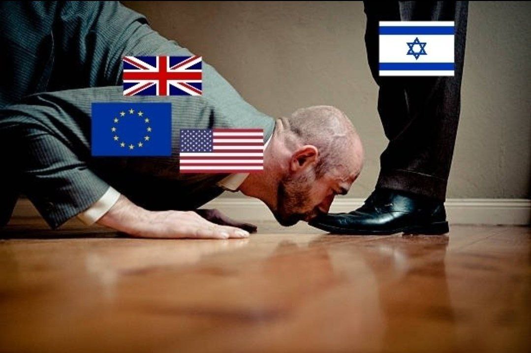 Martina Adams🌴🌲🏞️🌎 tweet media