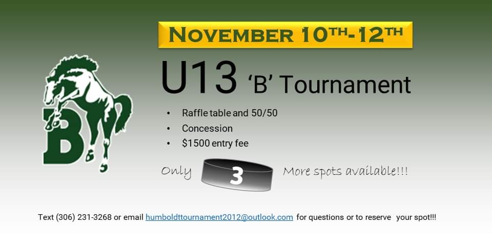 Looking for more teams for our U13 tournament coming up in a few weeks.