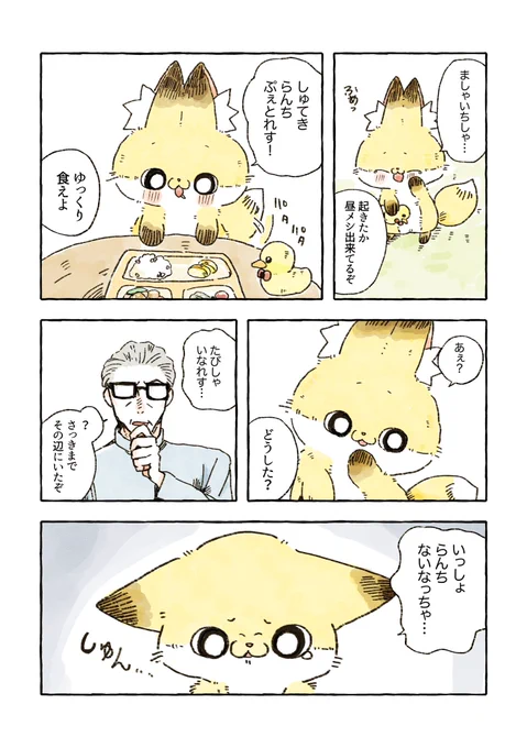 いっしょらんち🍽️ 