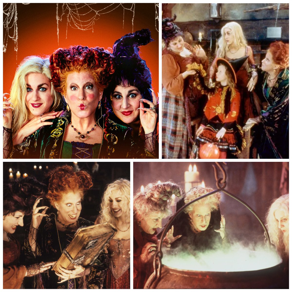 OctobersLeavess's tweet photo. The best Halloween witches 🎃🔮 https://t.co/1SvEbb51oZ