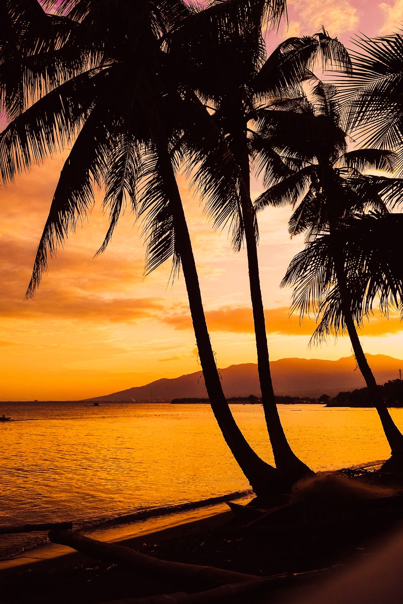 BruceAllsman's tweet photo. On an all-expense-paid vacation to a remote tropical island resort, a psychiatrist faces her old friends and a serial killer. 

https://t.co/68RaP7AnJG
https://t.co/xy2dBxJMCb
https://t.co/tHB6SmDfeI
https://t.co/KZOx7HvYPG https://t.co/AzynnU2biA