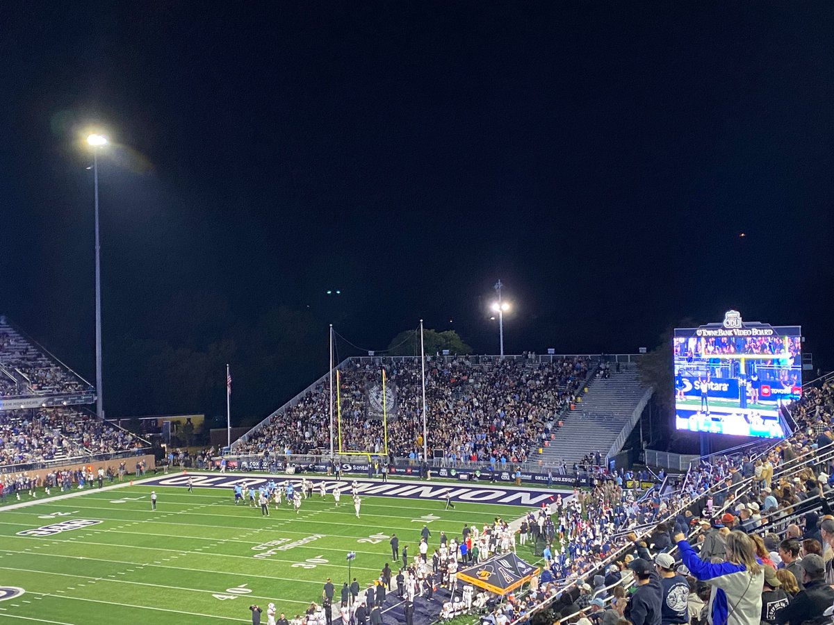 AVID SHARK tweet media