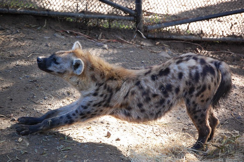 HourlyYeen tweet media