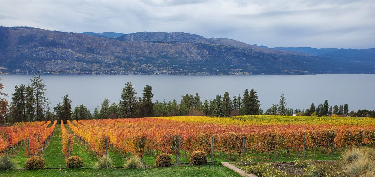 UpperEndTours's tweet photo. A beautiful Fall day for a wine tasting! https://t.co/pSCMlCFYBL