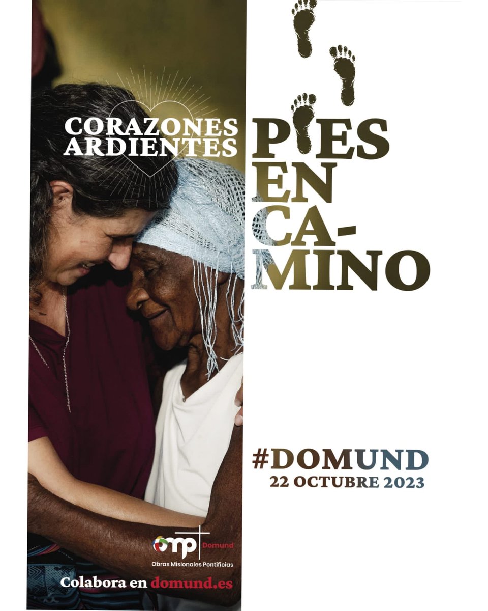 Presentación-Fesd-Madrid tweet media