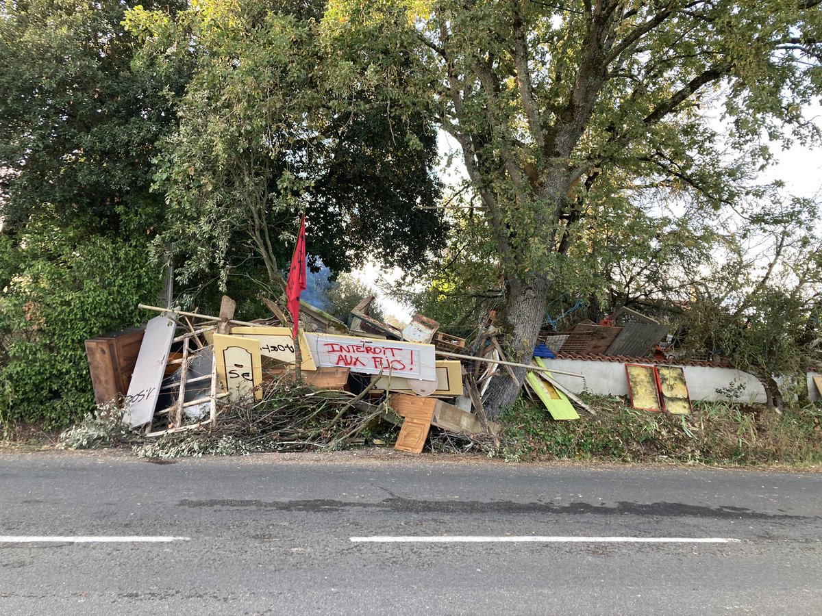 Henri Seckel tweet media