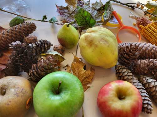 A l'occasion de la semaine du goût la classe de MS/GS a cuisiné des fruits et légumes d'automne: pâte et gelée de coings ,  compote de pommes, soupe  de potiron et pâte à tartiner chocolat/noisettes.