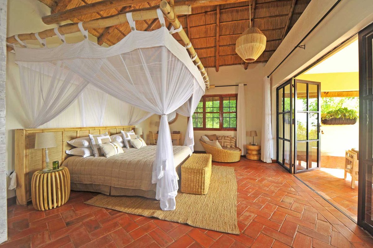 Festo Kato tweet media