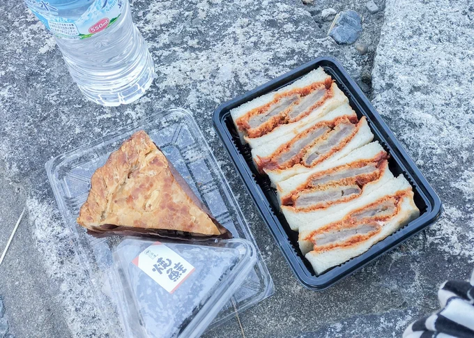 関コミ後の京都駅中で色々買ってお昼ご飯。アップルパイ美味しすぎてもう一つ買って電車で食べた。 