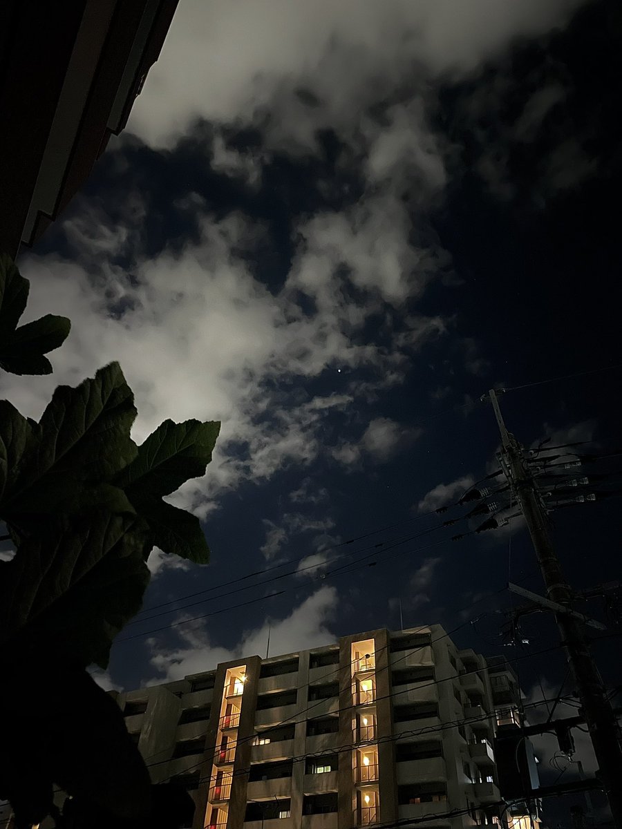 slidemendieta's tweet photo. 木星
寒くてオリオン座流星群諦めた https://t.co/84Vm038Gnf