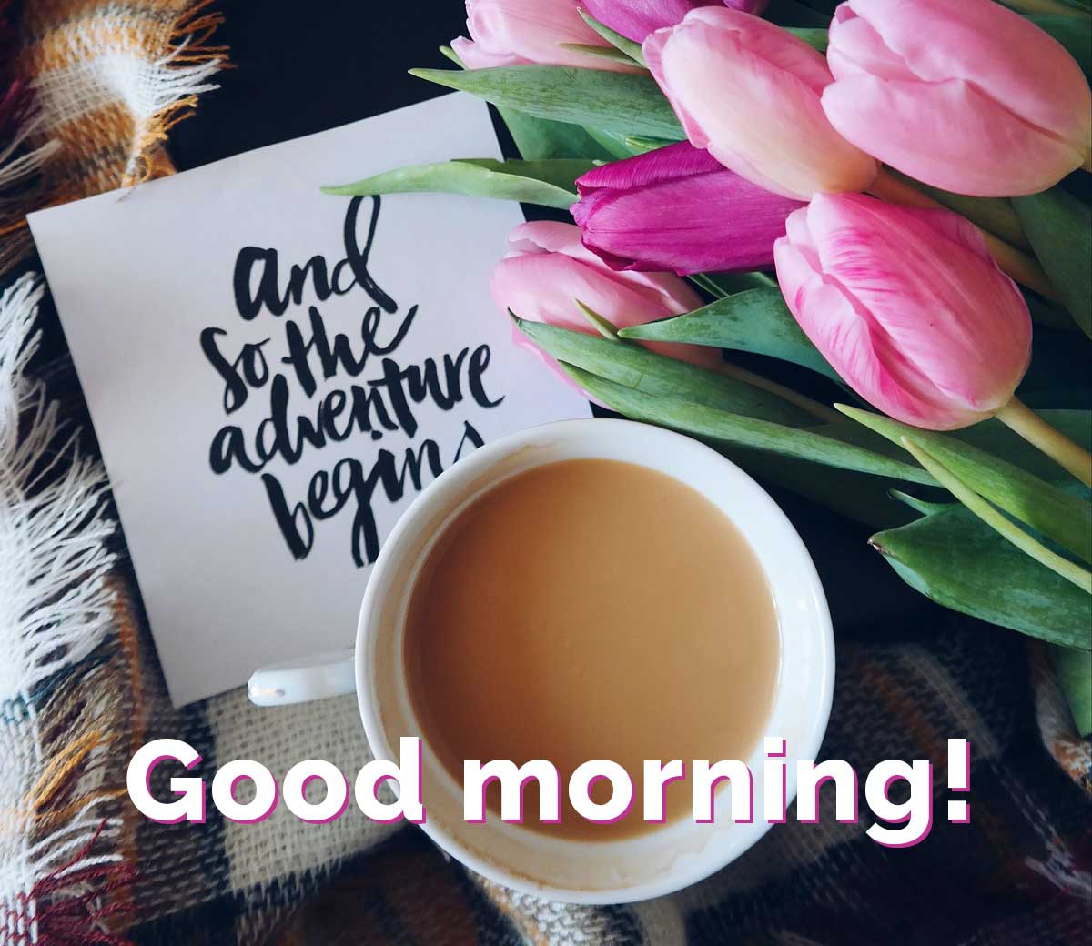 GM 🌅

Have a bless day guys
I wish you all health❤️