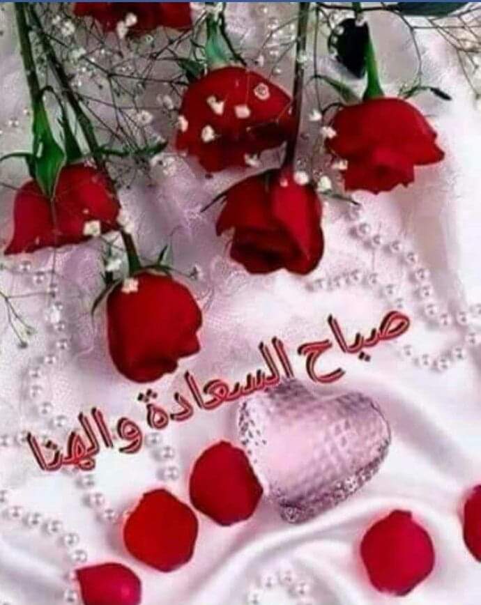 aida_ebrahim's tweet photo. @Quitesamy https://t.co/x3SN28nF1T