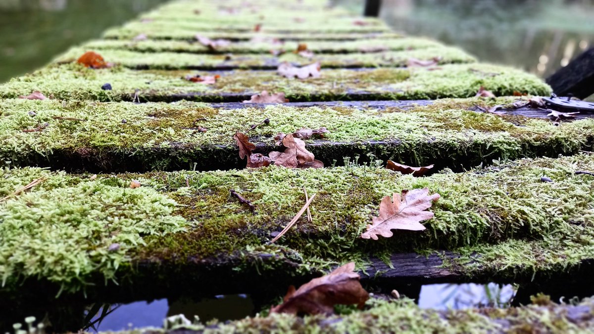 Moni Ka. (@monika20042038) on Twitter photo 