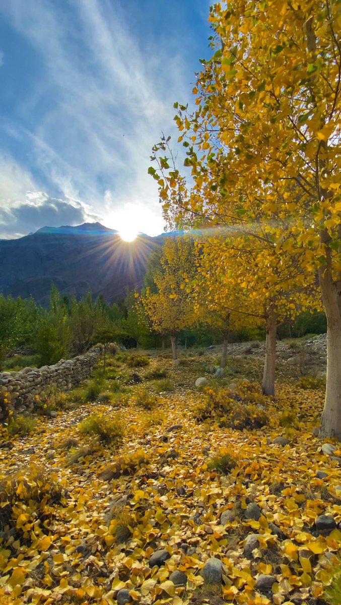 Autumn 🍂 in Gilgit 🥰 
#photograghy 
#GilgitBaltistan 
#naturelover 
#Pakistan 
#autumnfall 
#autumnleaves