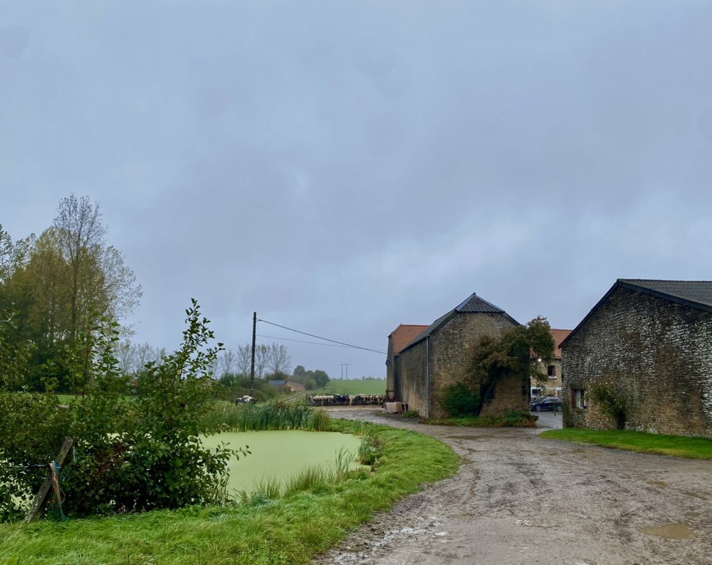bart_seys's tweet photo. Florée 10u20 en 11° ‘Ferme de la Neuve Cour’ in de regen ☔️ #vrtweer #floree #neuvecour anno 1736 https://t.co/Ps15SsyPHK