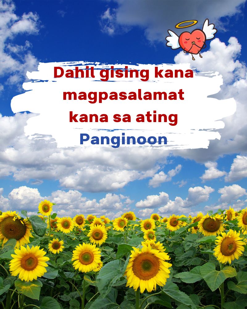 PollyWilde456's tweet photo. Good morning everyone~ Don't forget to praise our Lord before the day begins🙏
“Mangagalak kayong lagi; Magsipanalangin kayong walang patid; Sa lahat ng mga bagay ay magpasalamat kayo; sapagka't ito ang kalooban ng Dios kay Cristo tungkol sa inyo” (1 Tesalonica 5:16-18).
  #pray https://t.co/NPwMUFlmG0