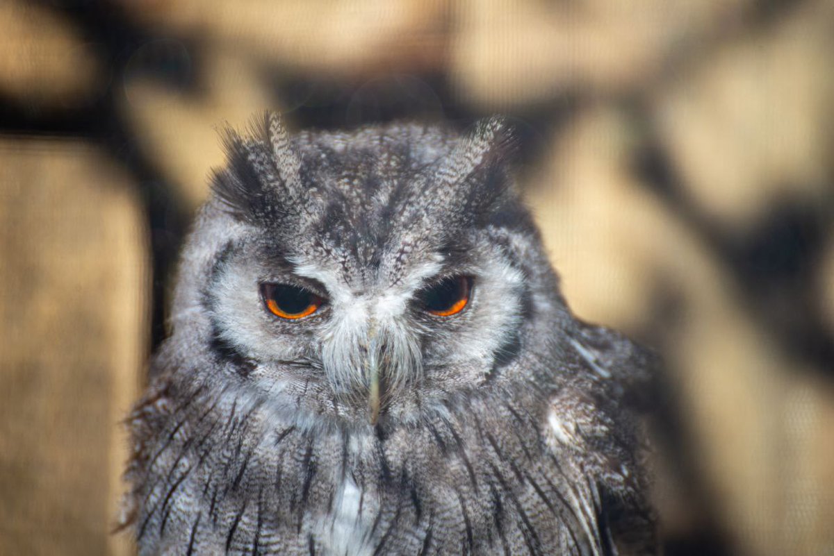 Livinteresting tweet media