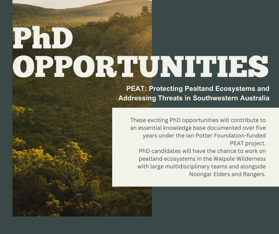 1/11 (🧵) We have 8 exciting opportunities to join the PEAT project as a PhD student, based either at @BiolSci_UWA or at @CPPP_ECU. If your background is botany, entomology, soil science, genetics, AI, cultural studies, geochemistry or hydrology, then we have a niche for you!