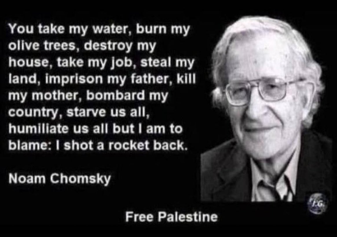 #NoamChomsky #SocialistSunday