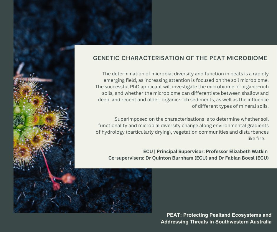 9/11 The third project based at @CPPP_ECU is on the 'Genetic characterisation of the peat microbiome'. More details at: ecu.edu.au/centres/gradua…