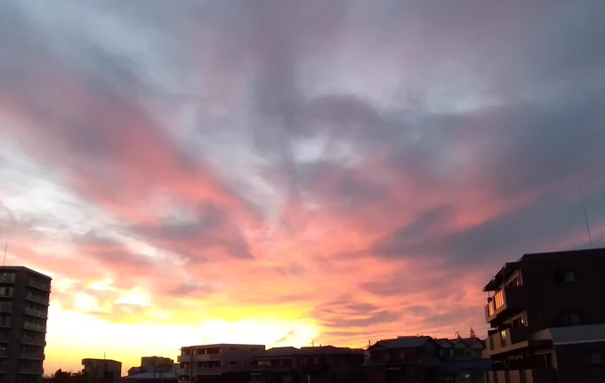 夕方散歩夕焼けらしい夕焼けでした。 