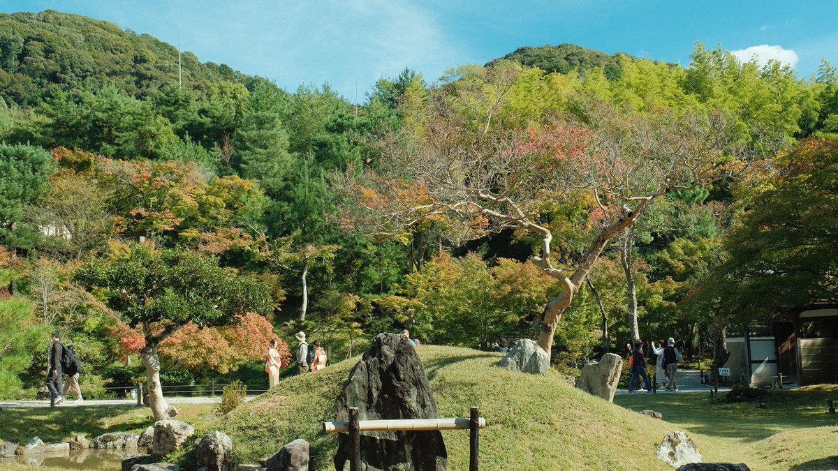 chi30022's tweet photo. 紅葉までもう少し！

#写真好きな人と繋がりたい
#カメラ好きな人と繋がりたい
#ファインダー越しの私の世界
#キリトリセカイ
#京都
#京都観光 https://t.co/jzvQnVRplv