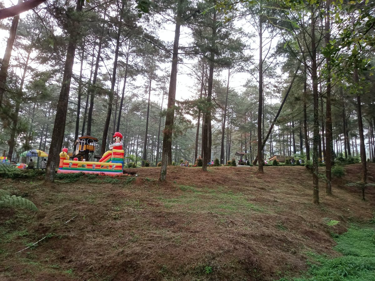 Limpakuwus, baturaden