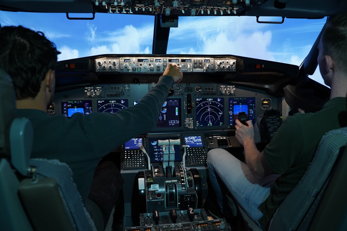 SimFlying tweet media