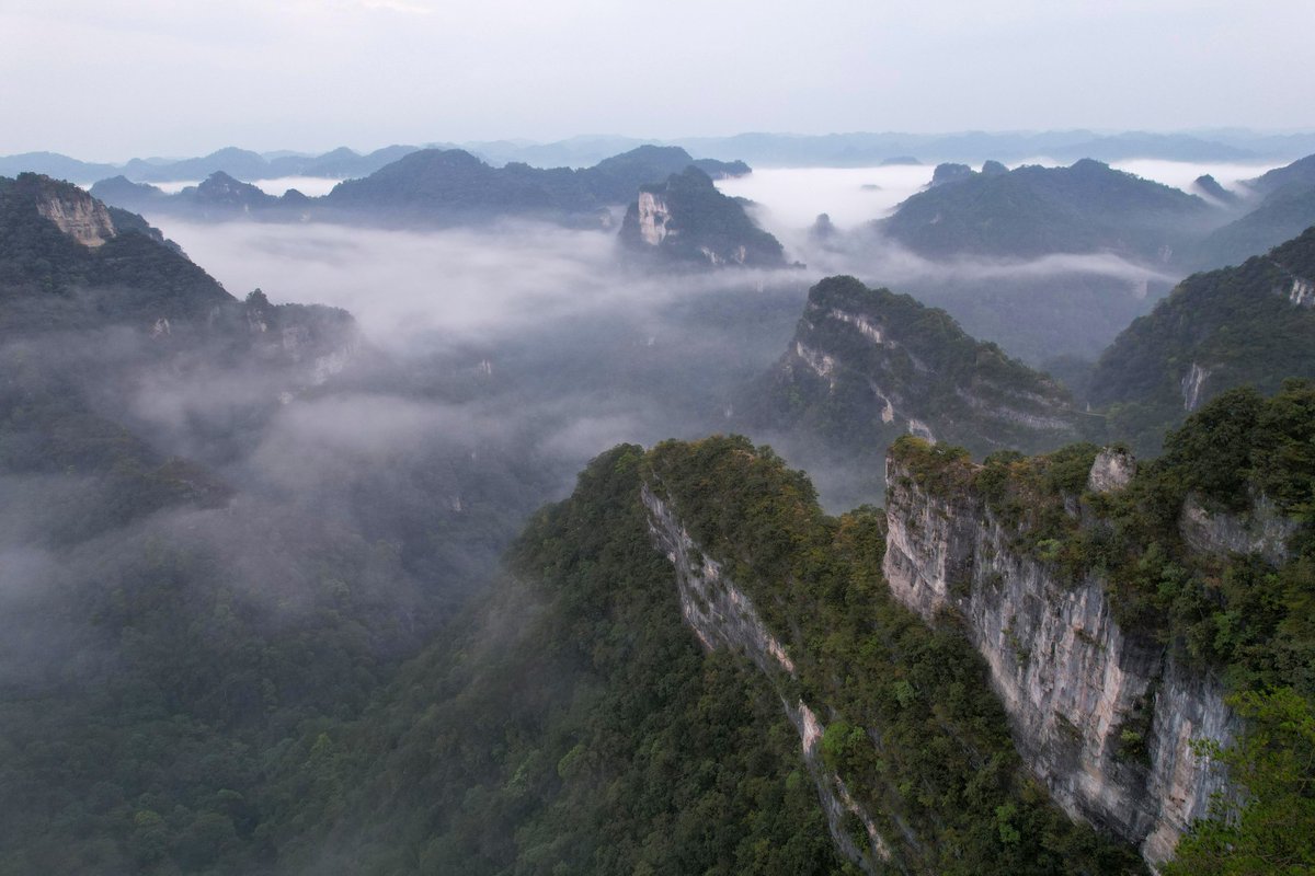 VivreauGuizhou's tweet photo. [Montagne de #Yuntai à #Shibing] La montagne de Yuntai à Shibing a près de 400 types de plantes rares et près de 100 animaux précieux, sans parler des paysages magnifiques.

📷 by Eyesnews

#Guizhou #Chine #montagne https://t.co/J3aL4dtK2Z