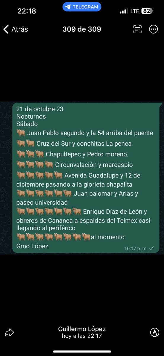 toritojalisco's tweet photo. Torito. 

Comparte perro. Salva a un hermano. https://t.co/L1JdRQuhtO