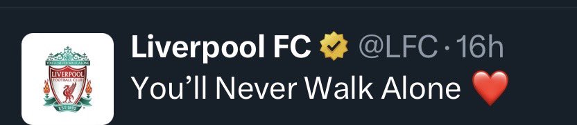 At Owner’s Risk tweet media