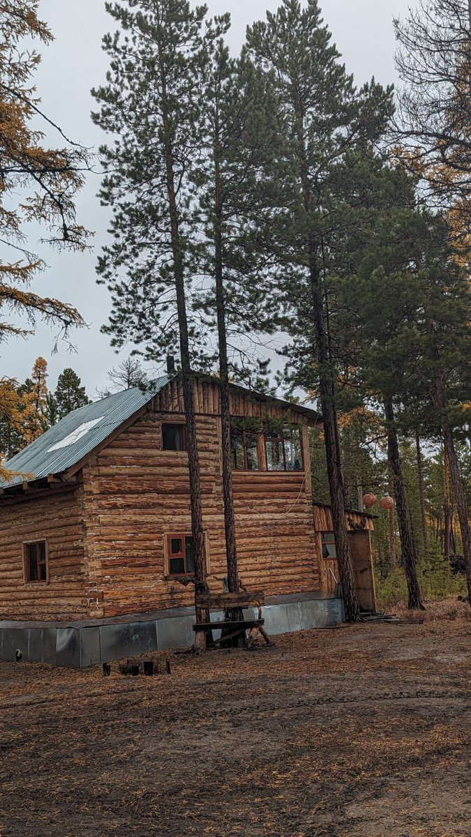 wbbxol's tweet photo. We reached a clear patch with cosy logwood structures - small units, main living area and kitchen with glass panels to enjoy the beauty of the woods. The living room was a double storey with toilet at the back, a garage for the safari vehicle and 4 wheel snow bike that we rode! https://t.co/S8ZLIIyaFl