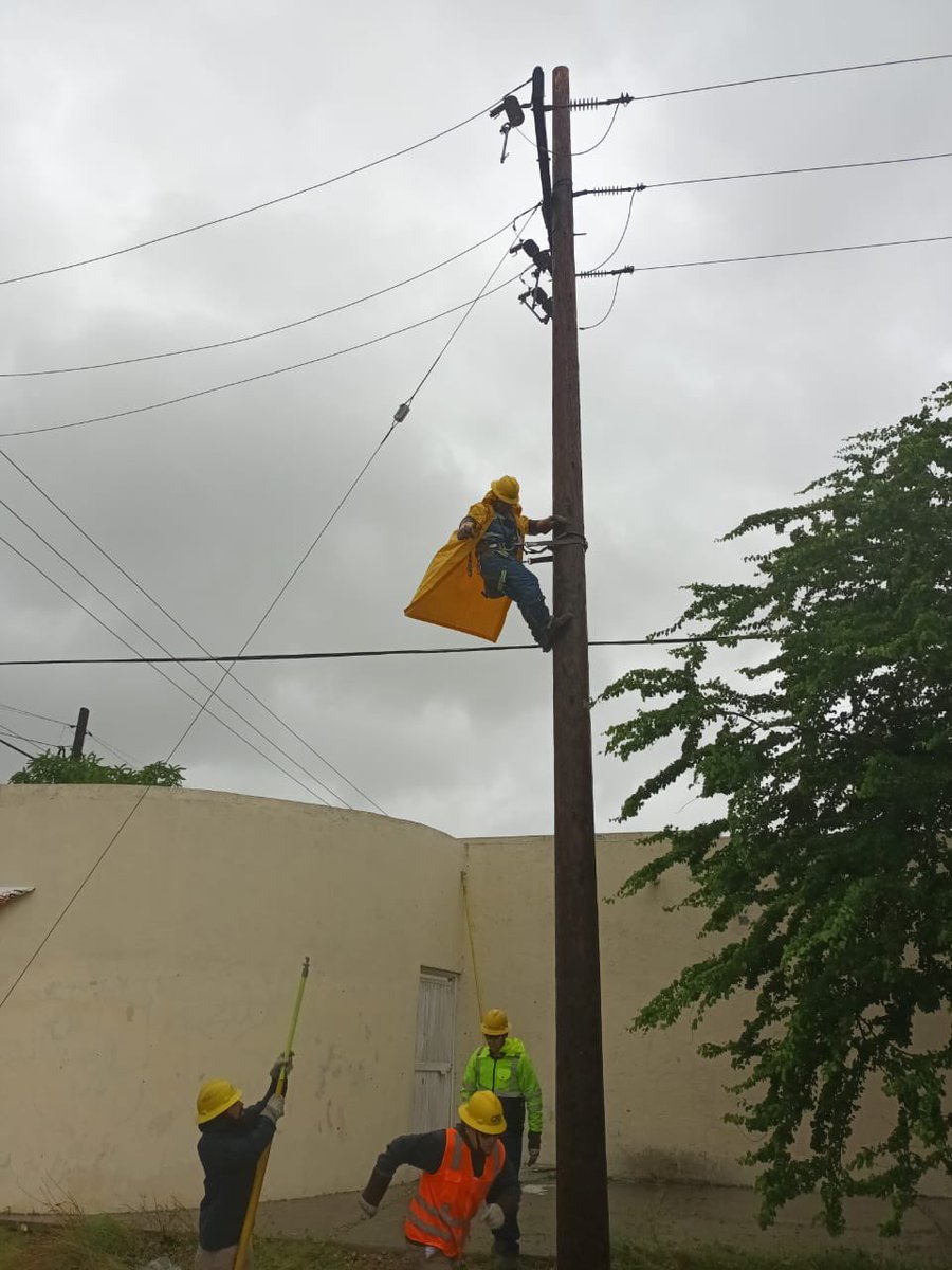 CFEmx's tweet photo. 📄 #CFEInforma| La CFE ha restablecido el suministro eléctrico al 62% de los usuarios afectados por el huracán #Norma en Baja California Sur, gracias a los trabajos ininterrumpidos del personal electricista. https://t.co/ydamR61Rti https://t.co/eciCKbgJXW