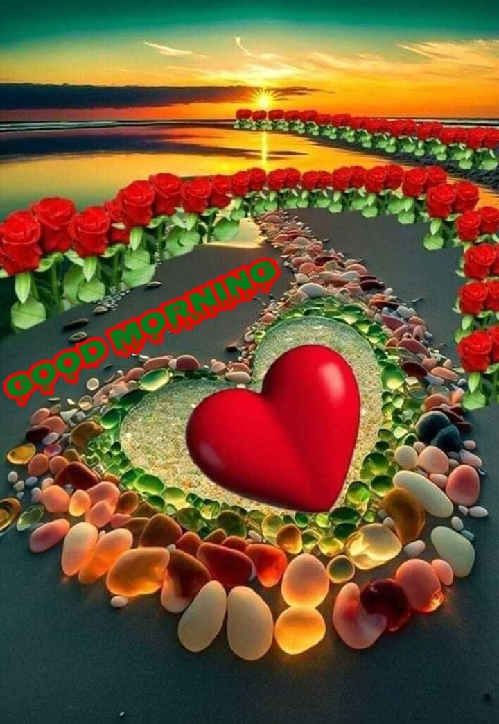 Ceca Genova❤️🇧🇬🌹🇮🇳❤️ tweet media