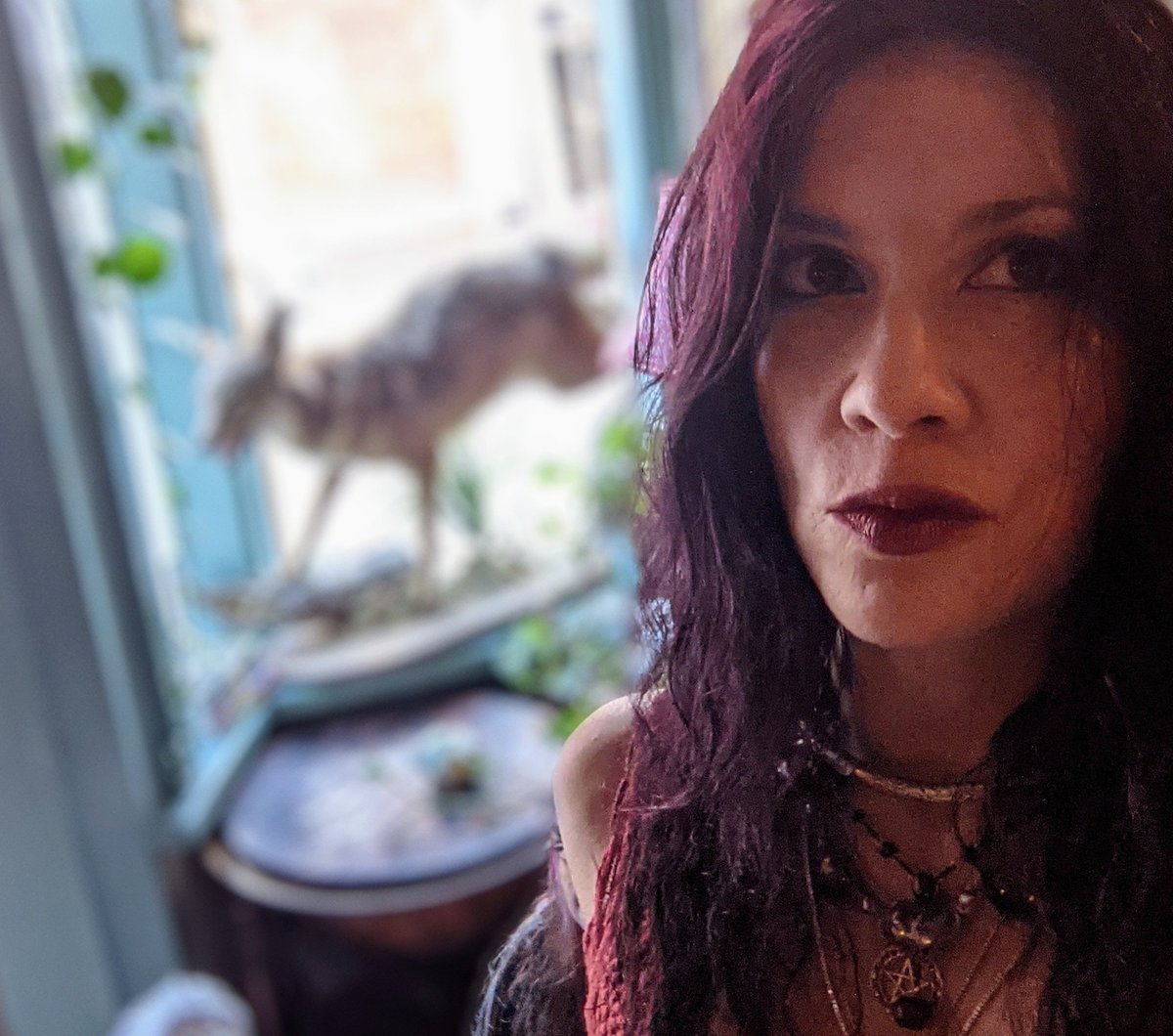 DjCyFi's tweet photo. Wardrobe, makeup, character design &amp; location for
Not Dead Yet Productions
Never Say Never
Zingara the Gypsy 
@rva48hfp 
.
.
.
#48hrhorrorfilmproject #notdeadyetproductions  #rva48hfp #rva48hourfilmproject #rva48hfp2023  #gothsinfilms #sophistagoth https://t.co/OJCt9CirrQ